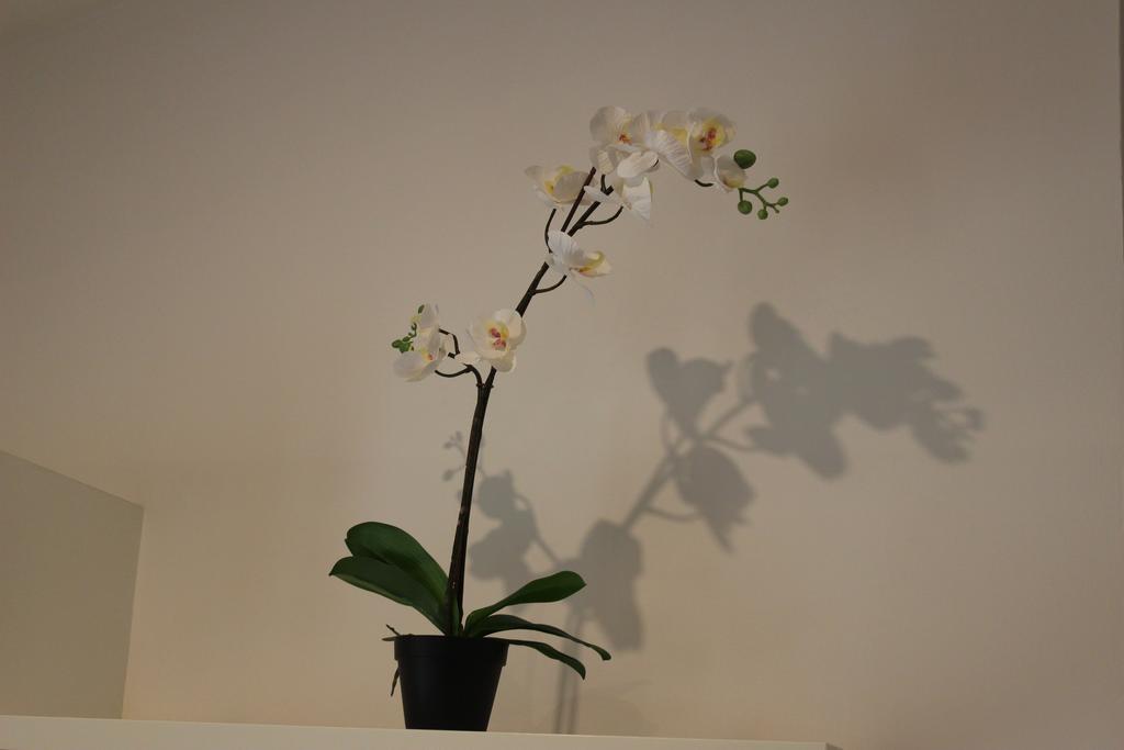Appartamento Alessandra House